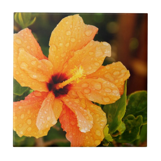 Carreau En Céramique Hibiscus (Devant)