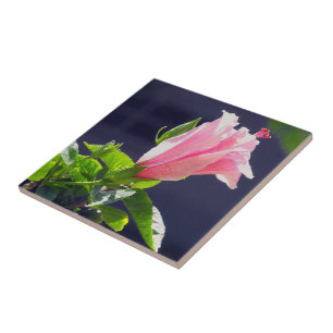 Carreau En Céramique Hibiscus au soleil clair