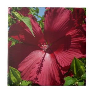 Carreau En Céramique Hibiscus Flower and Blue Sky