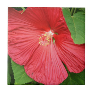 Carreau En Céramique Hibiscus Flower Bright Magenta