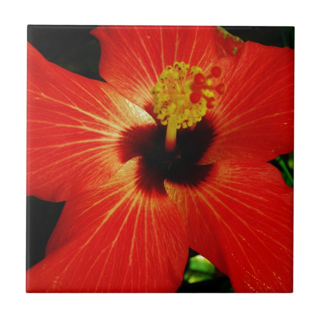 Carreau En Céramique Hibiscus rouge (Devant)