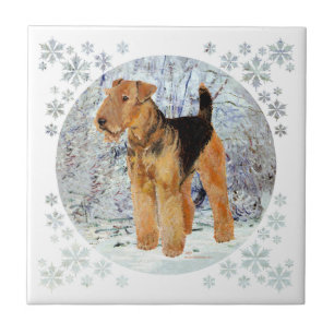 Carreau En Céramique hiver