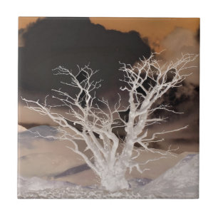 CARREAU EN CÉRAMIQUE HIVER DE LA MONTAGNE