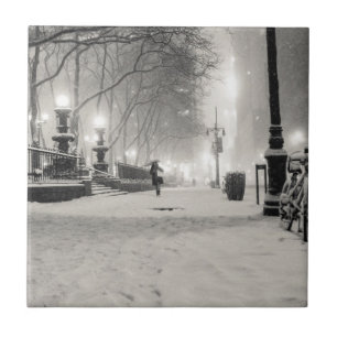 Carreau En Céramique Hiver de New York - nuit de Milou - parc de Bryant