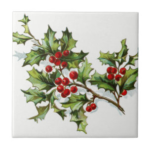 Carreau En Céramique HollyBerries20150802
