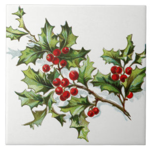 Carreau En Céramique HollyBerries20150802