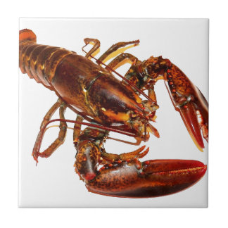 Carreau En Céramique Homard