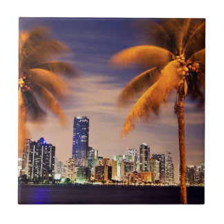 Carreau En Céramique Horizon des Etats-Unis, la Floride, Miami au