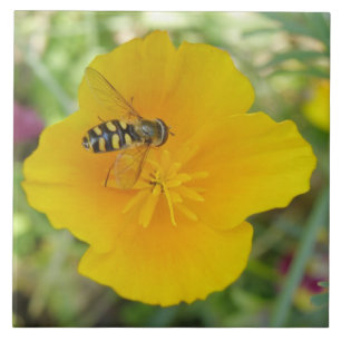 Carreau En Céramique Hoverfly et California Poppy Tile
