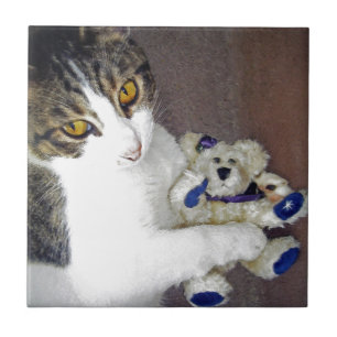 Carreau En Céramique Huile d'ours