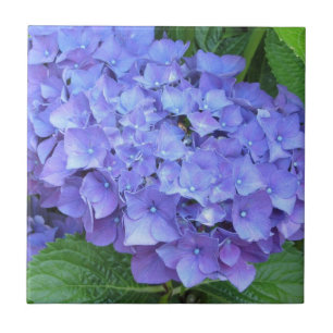 Carreau En Céramique Hydrangeas Violets Élégants