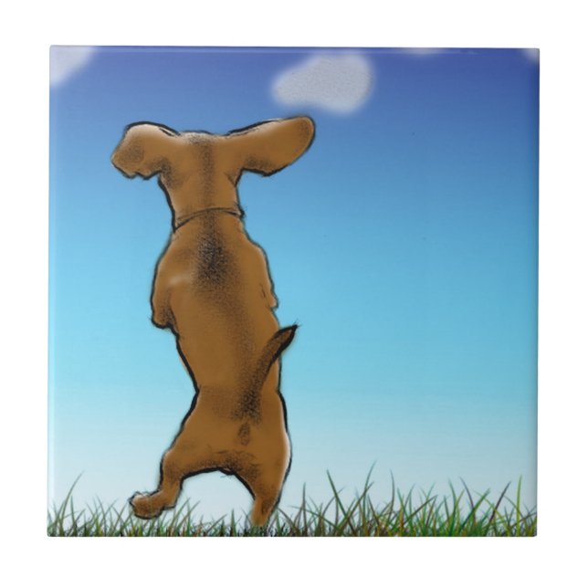 Carreau En Céramique Ignorer Doxie (Devant)