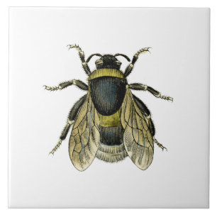 Carreau En Céramique Illustration antique d'abeille