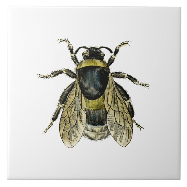 Carreau En Céramique Illustration antique d'abeille (Devant)