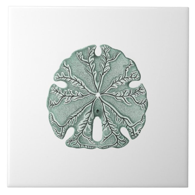 Carreau En Céramique Illustration antique du dollar de sable de mer (Devant)