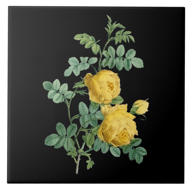 Carreau En Céramique Illustration botanique vintage de rose jaune (Devant)