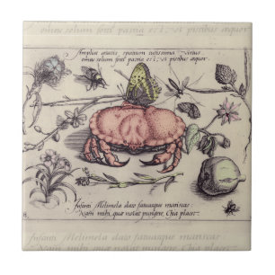 Carreau En Céramique Illustration de fleur d'insecte botanique de crabe