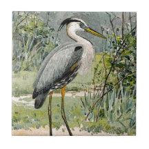 Illustration de héron de grand bleu