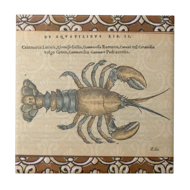 Carreau En Céramique Illustration de homard, fruits de mer du Maine (Devant)