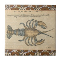 Illustration de homard vintage : Damassé côtier