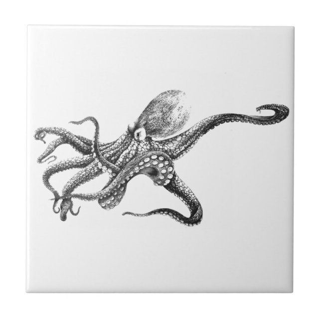 Carreau En Céramique Illustration noire et blanche de poulpe (Devant)
