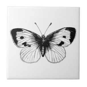 Carreau En Céramique Illustration vintage de papillon de chou blanc