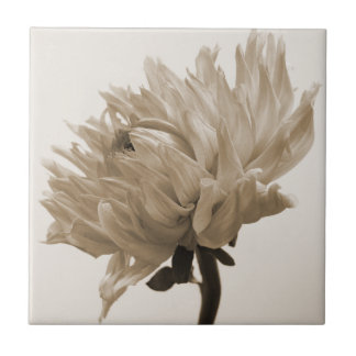 Carreau En Céramique impression dahlia sepia