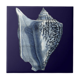 Carreau En Céramique Indigo Shells I