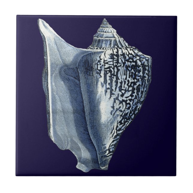 Carreau En Céramique Indigo Shells I (Devant)