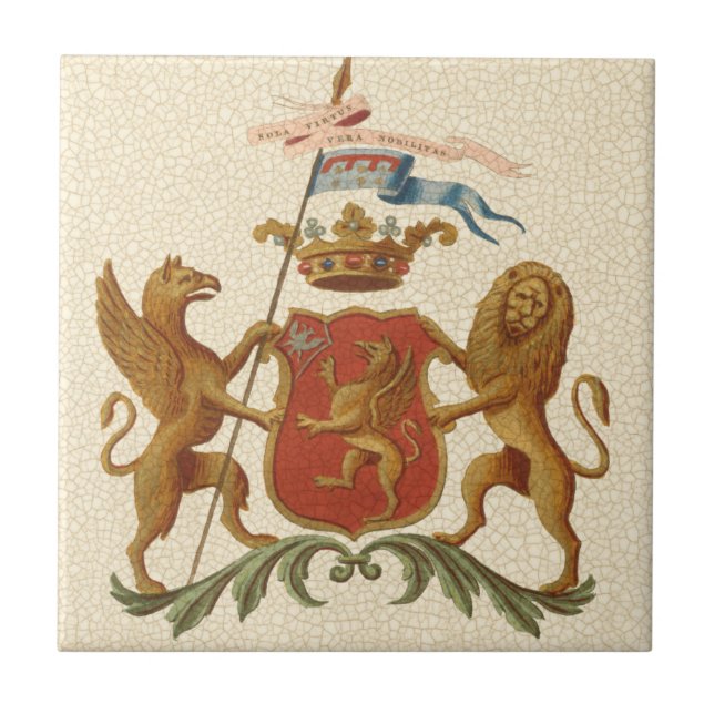 Carreau En Céramique Insigne héraldique avec Griffin et Lion (Devant)
