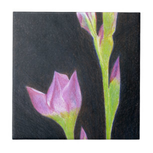 Carreau En Céramique Iris