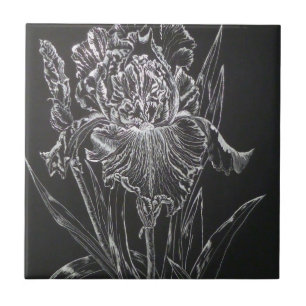 Carreau En Céramique Iris