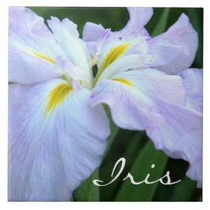 Carreau En Céramique Iris couleur lavande (photo)