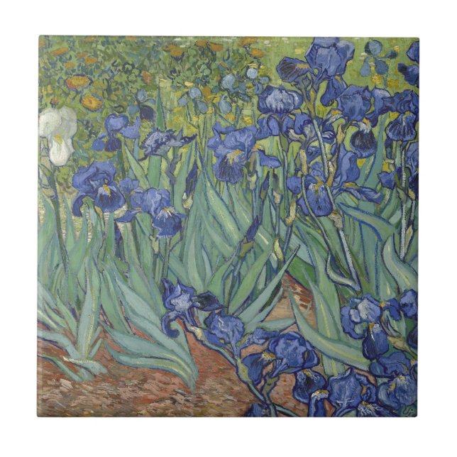 Carreau En Céramique Iris par les fleurs bleues d'iris de Van Gogh (Devant)