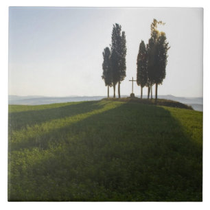 Carreau En Céramique Italie, Toscane, Cyprès en Toscane avec