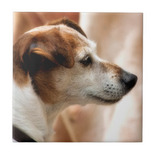 CARREAU EN CÉRAMIQUE JACK RUSSELL TERRIER CHIEN