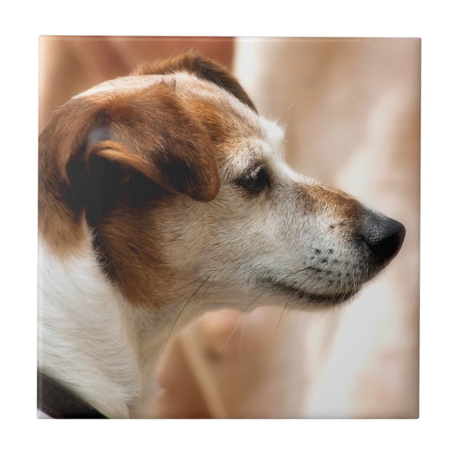 CARREAU EN CÉRAMIQUE JACK RUSSELL TERRIER CHIEN (Devant)