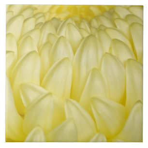 Carreau En Céramique Japon, Mie, sanctuaire d'Ise, chrysanthème