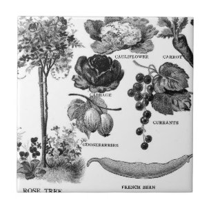 Carreau En Céramique Jardin Botanicals d'été dans noir et le blanc