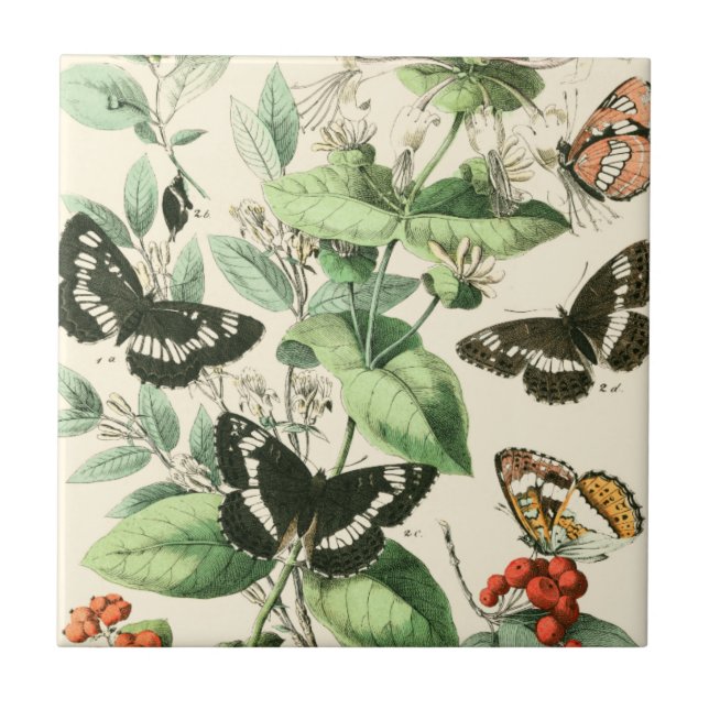 Carreau En Céramique Jardin des papillons et des fleurs (Devant)