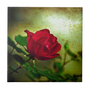 Carreau En Céramique Jardin mystique Saint-Valentin gothique Rouge Rose