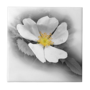 Carreau En Céramique jaune dans les tons gris