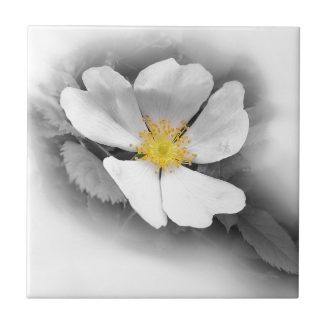 Carreau En Céramique jaune dans les tons gris (Devant)