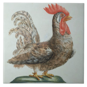 Carreau En Céramique Jeune coq nain, c.1767-76 (gravure colorée par