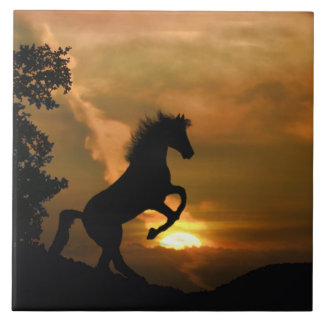 Carreau En Céramique Joli Carrelage d'Art Cheval