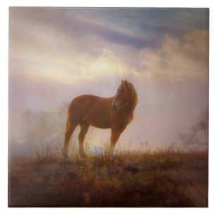 Carreau En Céramique Joli Carrelage d'art Palomino Mustang
