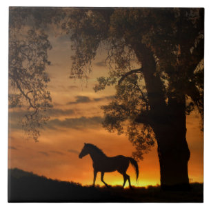 Carreau En Céramique Joli cheval Trotting au lever du soleil