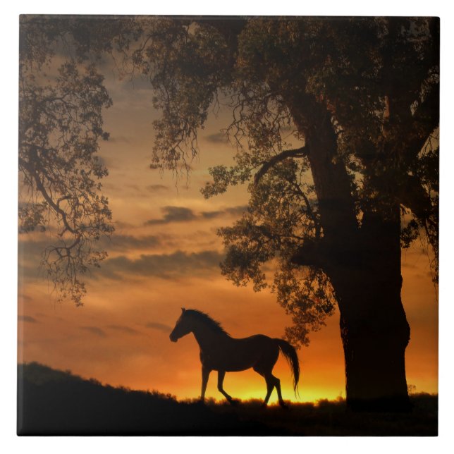 Carreau En Céramique Joli cheval Trotting au lever du soleil (Devant)