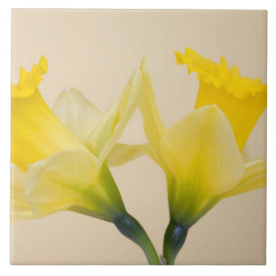 Carreau En Céramique Jonquilles jaunes