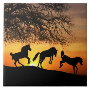 Carreau En Céramique Joyeux Carrelage d'Art Cheval